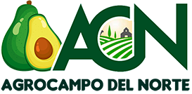 AGROCAMPO DEL NORTE